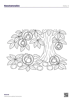 Natur – Seite 15